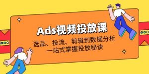 Ads视频投放课全解析:选品、投流、剪辑到数据分析,一站式掌握投放秘诀-泱泱学习社