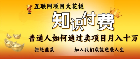 互联网项目天花板，知付付费项目，普通人如何通过卖项目月入十个，拒绝韭菜【揭秘】-泱泱学习社
