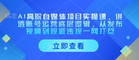 AI高阶自媒体项目实操课，讲透账号运营底层逻辑，从发布视频到规避违规一网打尽-泱泱学习社
