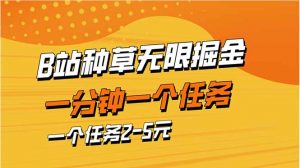 b站种草暴力掘金，一分钟一个任务，一个任务2-5元-泱泱学习社