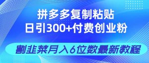 拼多多复制粘贴日引300+付费创业粉,割韭菜月入6位数最新教程!-泱泱学习社