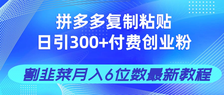 拼多多复制粘贴日引300+付费创业粉，割韭菜月入6位数最新教程！-泱泱学习社