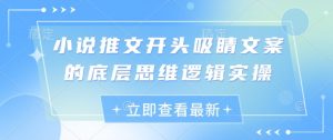小说推文开头吸睛文案的底层思维逻辑实操-泱泱学习社