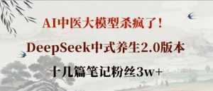 AI中医大模型杀疯了！DeepSeek中式养生2.0版本，十几篇笔记粉丝3w+-泱泱学习社