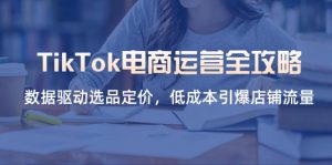 TikTok电商运营全攻略,数据驱动选品定价,低成本引爆店铺流量-泱泱学习社