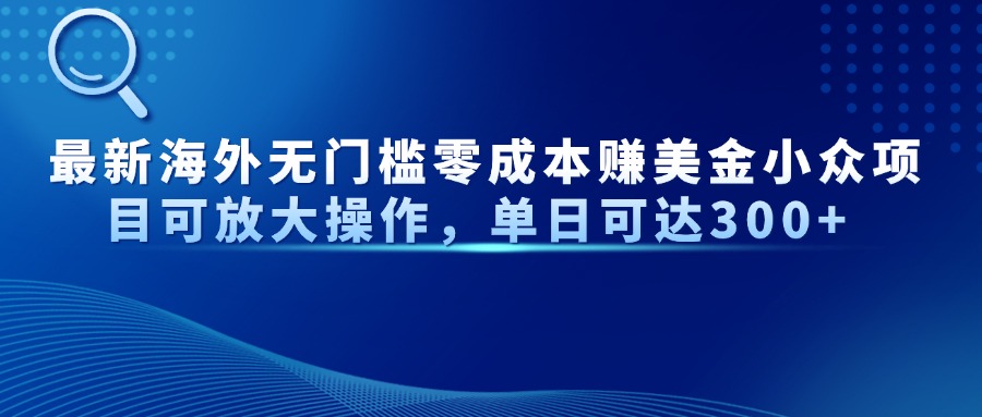 最新海外无门槛零成本赚美金小众项目可放大操作，单日可达300+-泱泱学习社