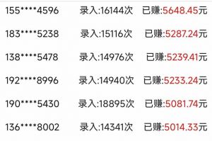 信息录入，几秒一单，只需一部手机，小白轻松上手，日入500＋-泱泱学习社