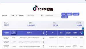 2025最热抖音官方项目 Ai时代风口项目小程序游戏开发 实测单个游戏日收...-泱泱学习社