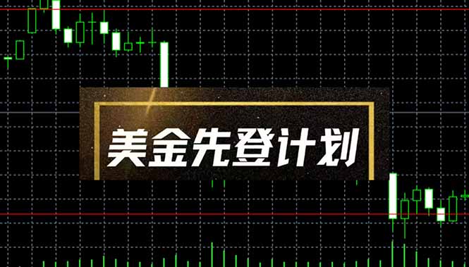 美金先登计划(2025黑马项目-泱泱学习社