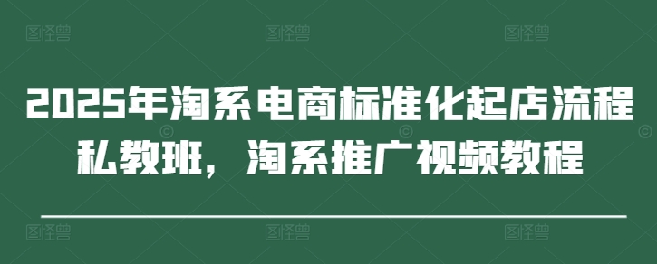 2025年淘系电商标准化起店流程私教班，淘系推广视频教程-泱泱学习社