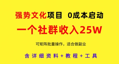 强势文化项目，一个社群收入25个W，0成本启动，可矩阵批量操作，原创详细实操教程-泱泱学习社