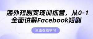 海外短剧变现训练营，从0-1全面讲解Facebook短剧-泱泱学习社