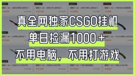 真全网独家CSGO挂G，单日捡漏1k+【揭秘】-泱泱学习社