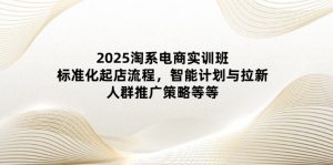 2025淘系电商实训班:标准化起店流程,智能计划与拉新,人群推广策略等等-泱泱学习社