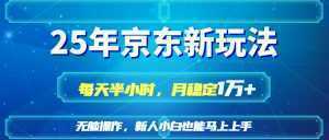 25京东新玩法，每天半小时，月稳定1W+-泱泱学习社