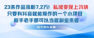 抖音私域项目23条作品涨粉7.2W，私域变现1W-泱泱学习社