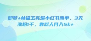 即梦+林黛玉完爆小红书商单，3天涨粉1千，靠怼人月入5k+-泱泱学习社