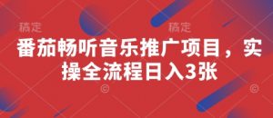 番茄畅听音乐推广项目，实操全流程日入3张-泱泱学习社