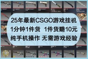 25年最新CSGO游戏挂G，1分钟1件货，1件货挣10元，纯手机操作，无需游戏经验【揭秘】-泱泱学习社