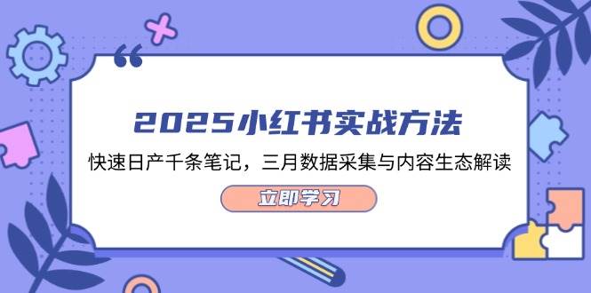 2025小红书实战方法，快速日产千条笔记，三月数据采集与内容生态解读-泱泱学习社