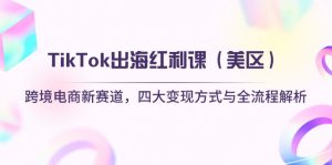 TikTok出海红利课(美区-泱泱学习社