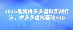 2025最新拼多多虚拟实战打法，拼多多虚拟基础sop-泱泱学习社