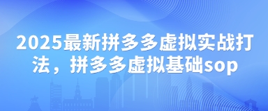 2025最新拼多多虚拟实战打法，拼多多虚拟基础sop-泱泱学习社