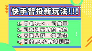 快手智投新玩法，单机日入40+，可批量，可查询实时收益，收益日结24小...-泱泱学习社