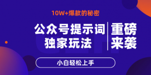 公众号提示词玩法，10W+爆文最简单快速的方法，小白轻松上手-泱泱学习社