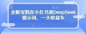 全职宝妈在小红书卖DeepSeek提示词，一天收益1k-泱泱学习社