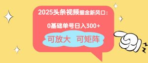 2025头条视频掘金新风口：0基础日入300+，可放大，可矩阵-泱泱学习社