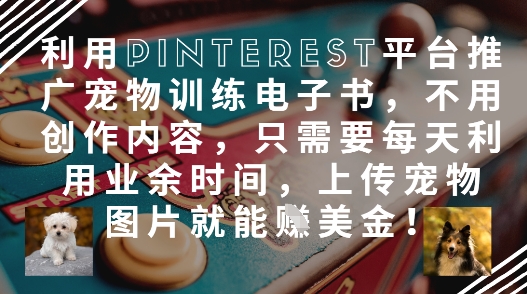 利用Pinterest平台推广宠物训练电子书，不用创作内容，只需要每天利用业余时间，上传宠物图片就能挣美金!-泱泱学习社