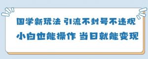 国学新玩法，引流不封号不违规小白也能操作，当日就能变现-泱泱学习社