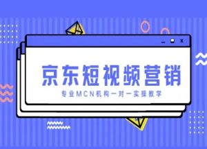 京东短视频营销项目，专业MCN机构一对一实操教学-泱泱学习社