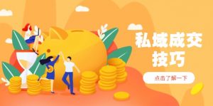 私域成交技巧，帮你从入门到精通，破解四大痛点，快速变现，轻松收钱-泱泱学习社
