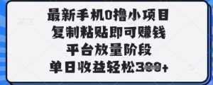 最新手机0撸小项目，复制粘贴即可挣钱，平台放量阶段，单日收益轻松3张+【揭秘】-泱泱学习社