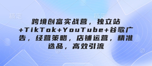 跨境创富实战营，独立站+TikTok+YouTube+谷歌广告，经营策略，店铺运营，精准选品，高效引流-泱泱学习社