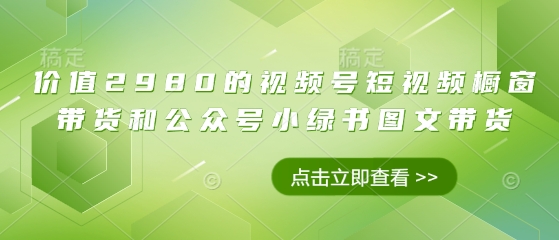 价值2980的视频号短视频橱窗带货和公众号小绿书图文带货-泱泱学习社