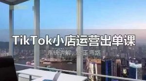 TikTok小店运营出单课，从开店选品、运营出单、发货回款，进行全流程讲解-泱泱学习社