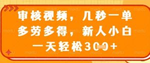 视频审核员,几秒一单,不限时间,不限地点,多做多得,新人小白一天轻松几张+【揭秘】-泱泱学习社