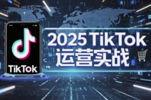 2025TikTok电商运营,掌握TikTok店铺运营核心技巧,实现低成本高转化-泱泱学习社