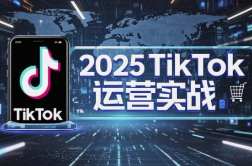 2025TikTok电商运营，掌握TikTok店铺运营核心技巧，实现低成本高转化-泱泱学习社