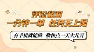 评论截图，0.5元一单，一分钟一单，有手机就能做，任务无上限，勤快点一天几张【揭秘】-泱泱学习社