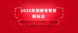 2025年视频号带货新玩法：AI炮制百分百原创爆款，稳起号，T+1结算实现月入过万-泱泱学习社