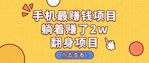 暴利项目，手机一键代发视频被动收入1000+，零成本做老板长期管道收益！-泱泱学习社