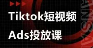 Ads视频投放课，tiktok短视频广告投放课-泱泱学习社