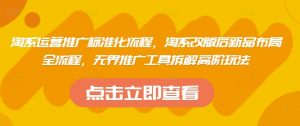 淘系运营推广标准化流程，​淘系改版后新品布局全流程，无界推广工具拆解高阶玩法-泱泱学习社