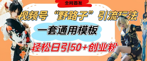 视频号“野路子”玩法，评论区疯狂截流，一套模板单日单号引流50+创业粉-泱泱学习社