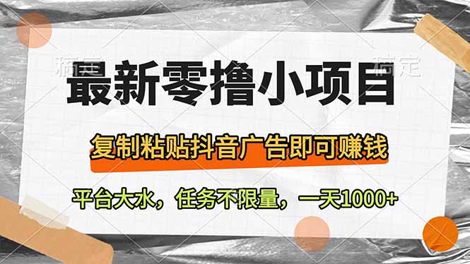 最新零撸小项目，复制粘贴抖音广告即可赚钱，平台大水，任务不限量，一…-泱泱学习社