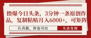 撸爆今日头条，3分钟一条原创作品，复制粘贴月入6000+，可矩阵-泱泱学习社